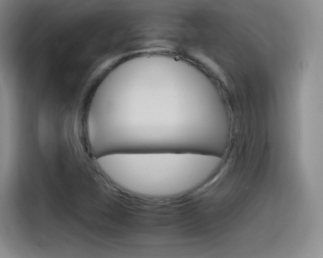 X0000114561407200910191002