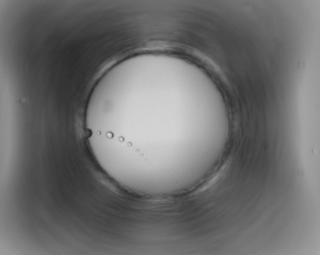 X0000114561409200910191002