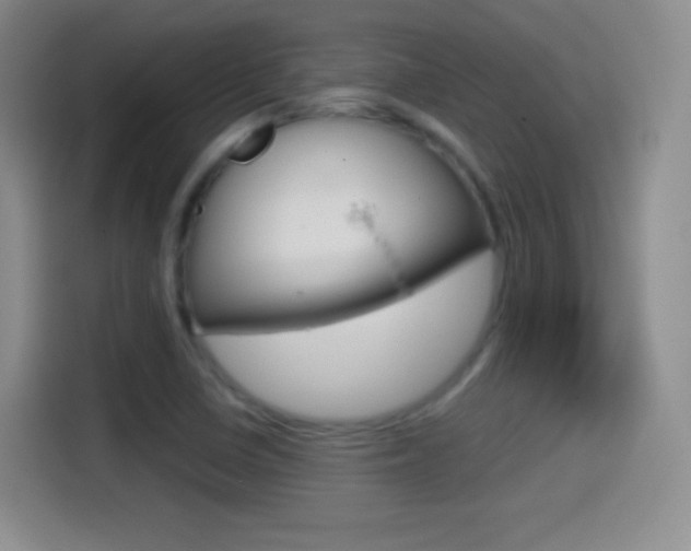 X0000114561410200910191002