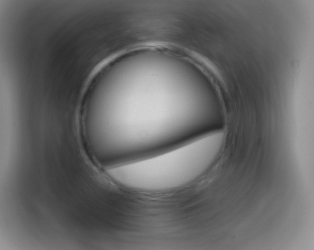 X0000114561412200910191002