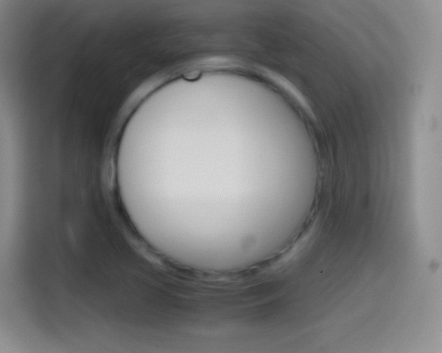 X0000114561413200910191002