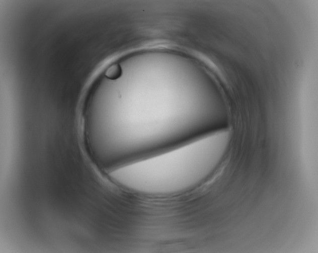 X0000114561414200910191002