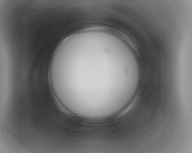 X0000114561417200910191002
