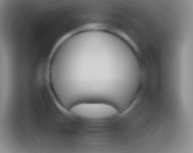 X0000114561421200910191002