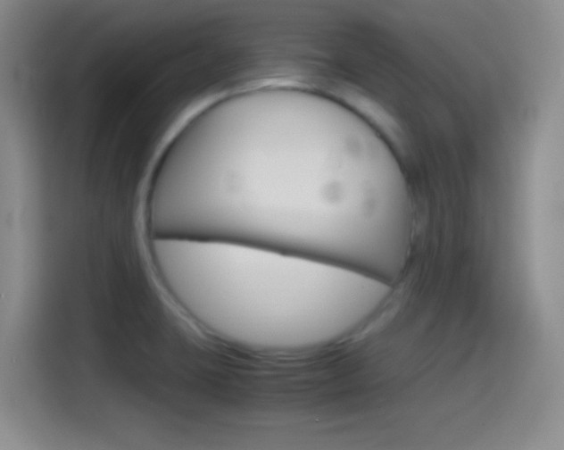X0000114561423200910191002
