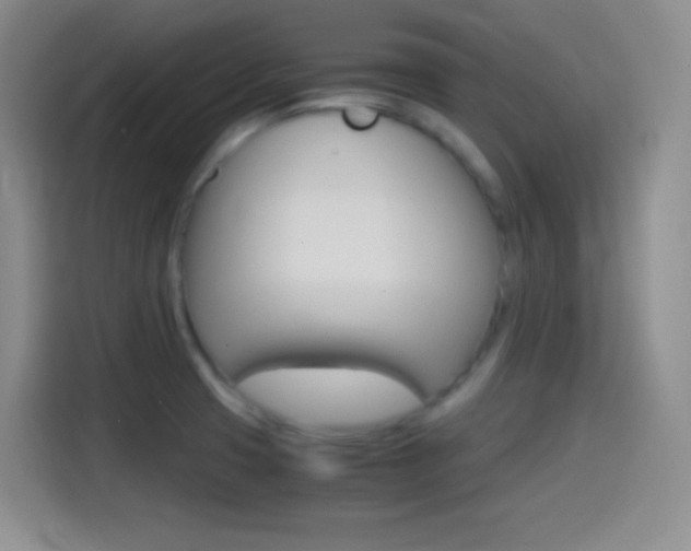 X0000114561425200910191002