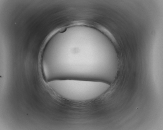 X0000114561427200910191002