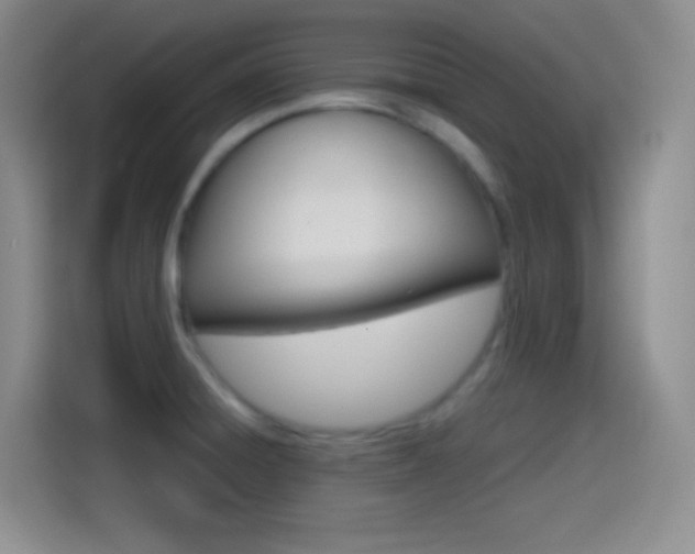 X0000114561428200910191002