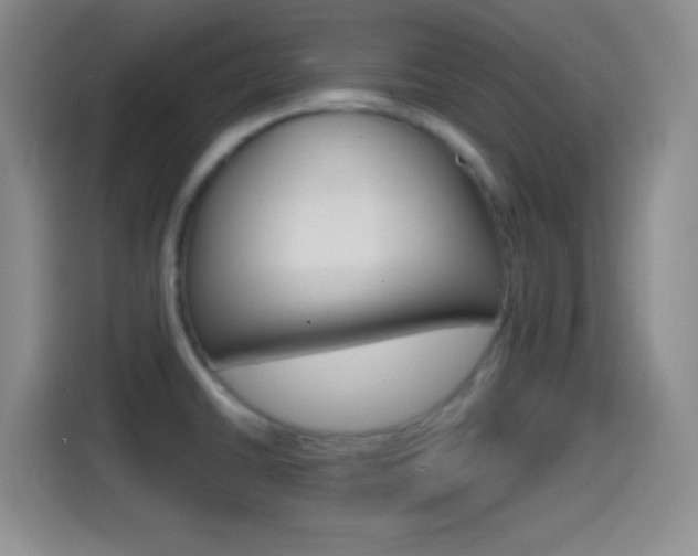 X0000114561430200910191002