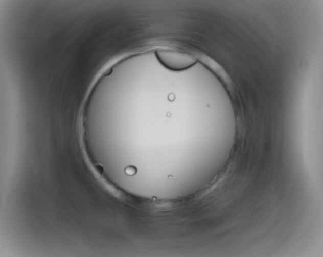 X0000114561431200910191002