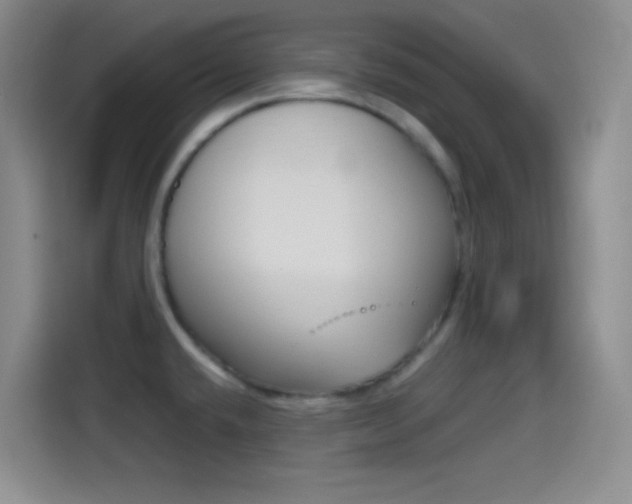 X0000114561432200910191002