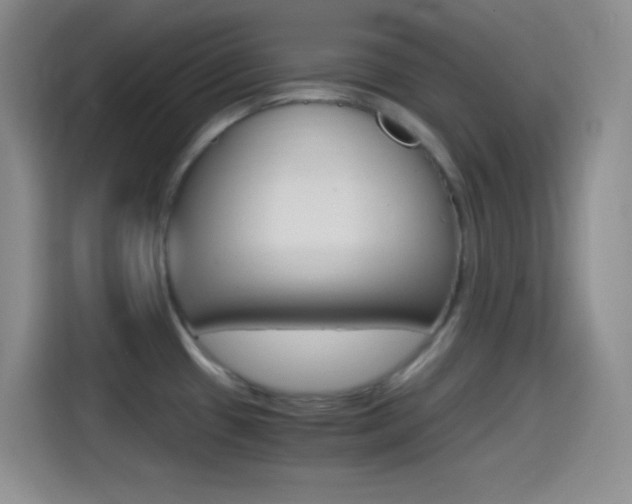 X0000114561433200910191002