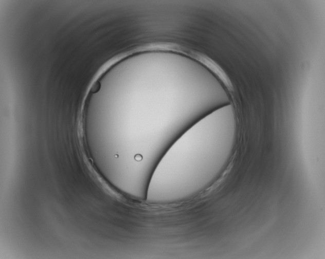 X0000114561436200910191002