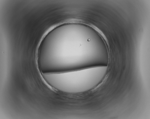 X0000114561437200910191002