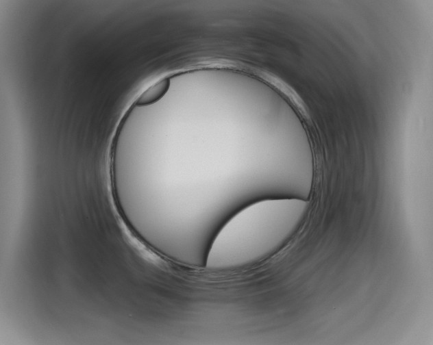 X0000114561439200910191002