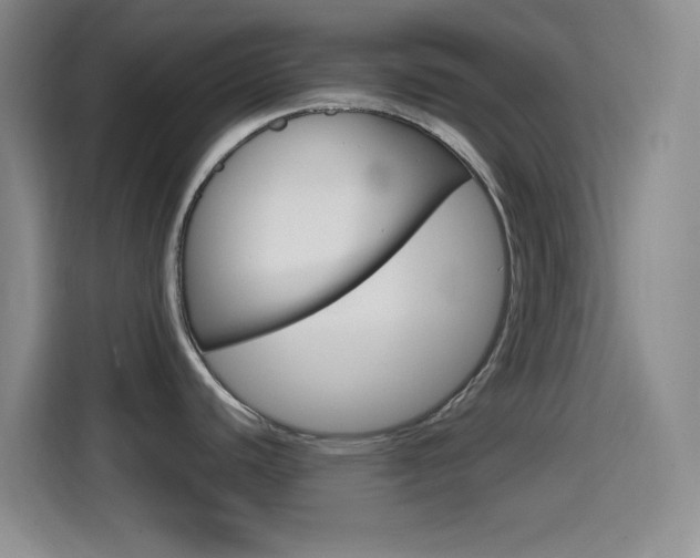 X0000114561440200910191002