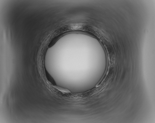 X0000114561441200910191002