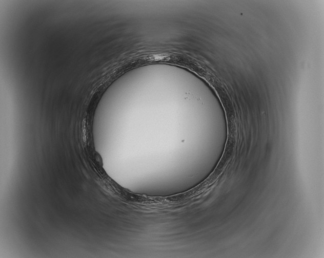 X0000114561442200910191002
