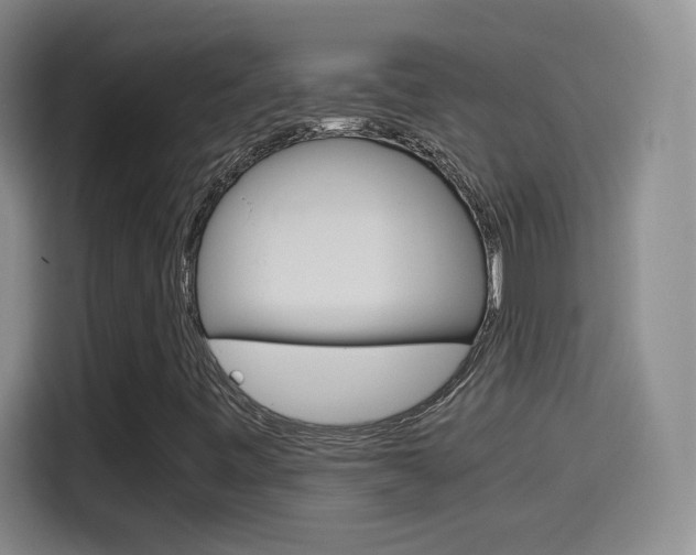 X0000114561443200910191002