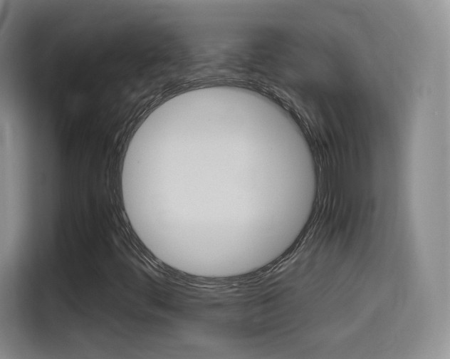 X0000114561444200910191002