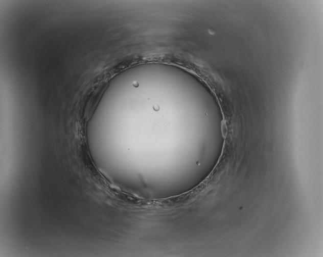 X0000114561445200910191002