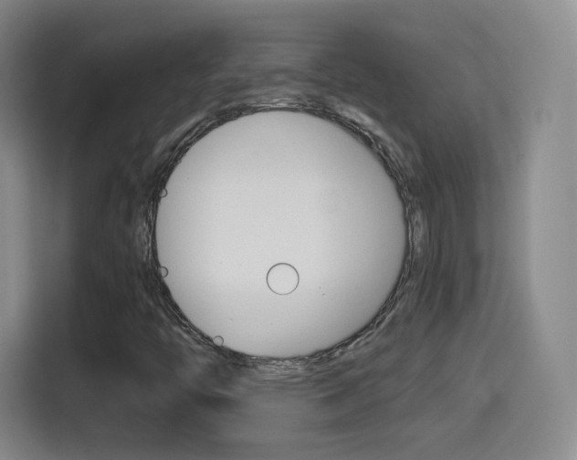 X0000114561446200910191002