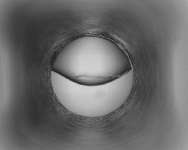 X0000114561447200910191002