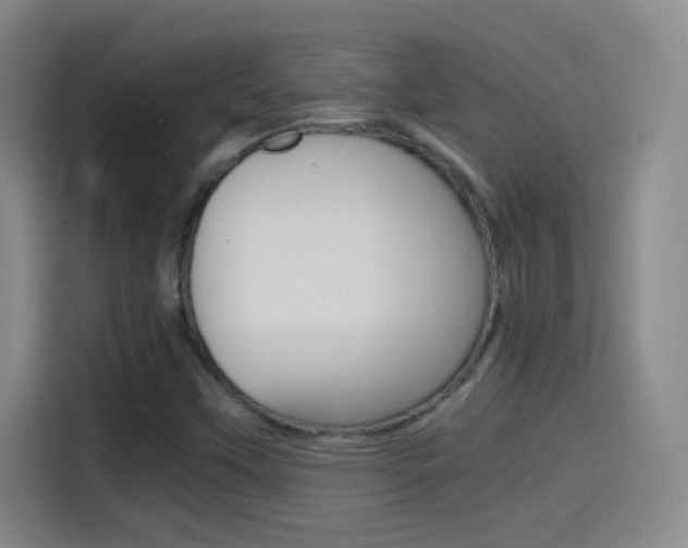 X0000114561451200910191002