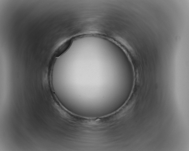 X0000114561452200910191002