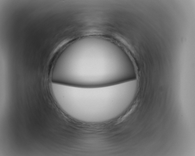 X0000114561453200910191002