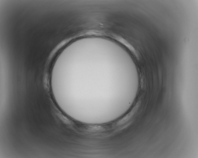 X0000114561454200910191002