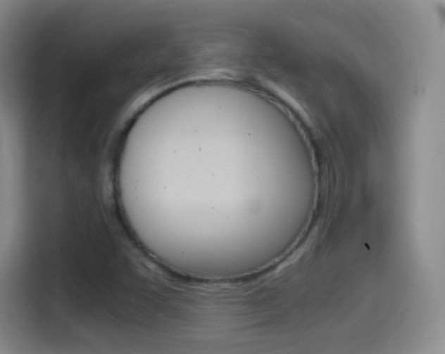 X0000114561455200910191002