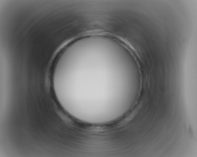 X0000114561458200910191002