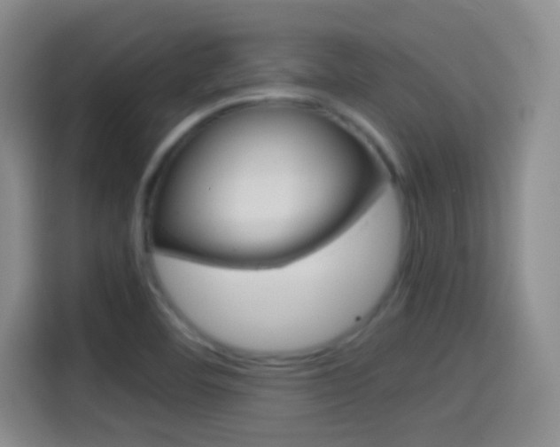 X0000114561460200910191002