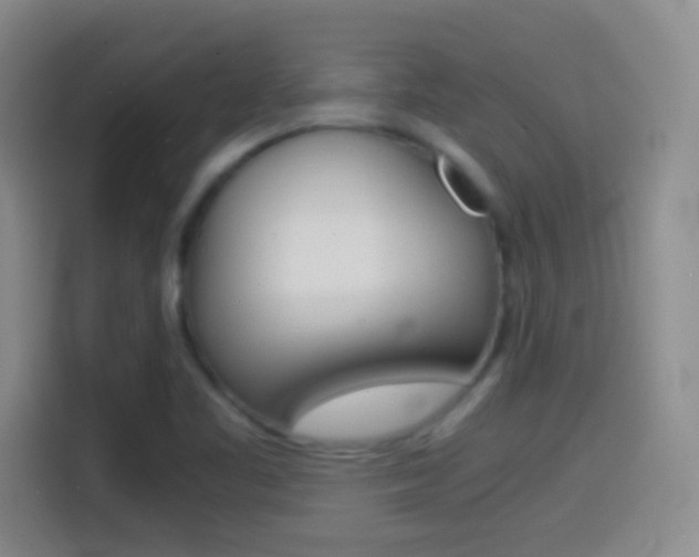 X0000114561461200910191002