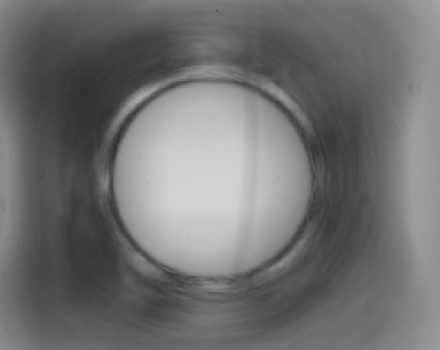 X0000114561462200910191001