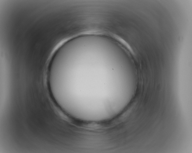 X0000114561463200910191001