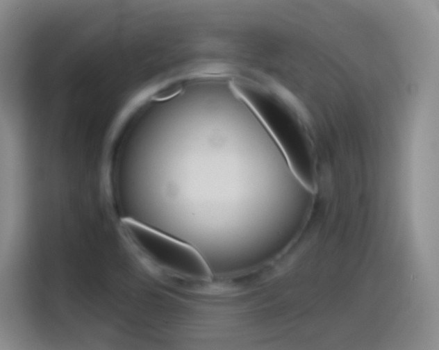 X0000114561464200910191001