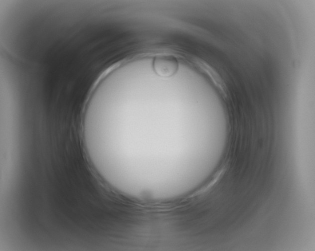 X0000114561465200910191001
