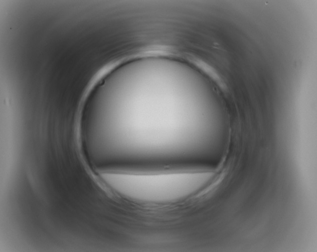 X0000114561469200910191001