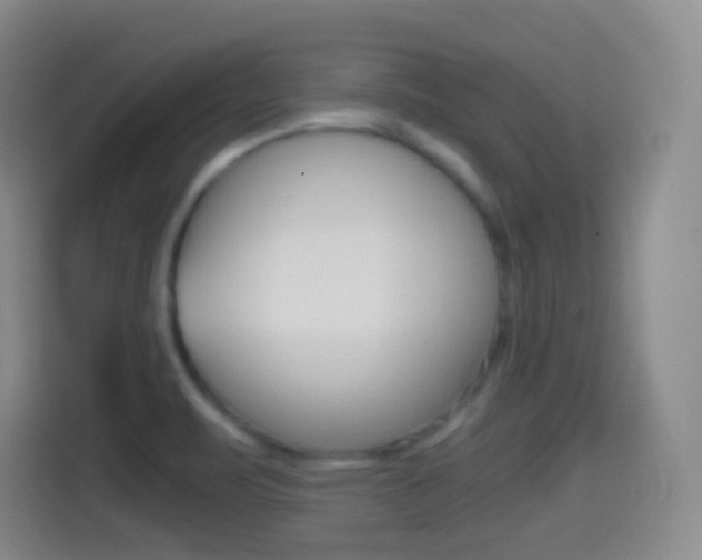 X0000114561471200910191001