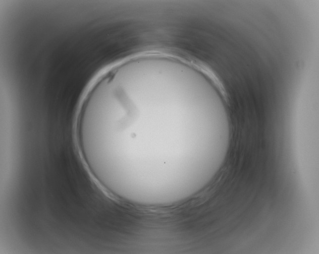 X0000114561472200910191001