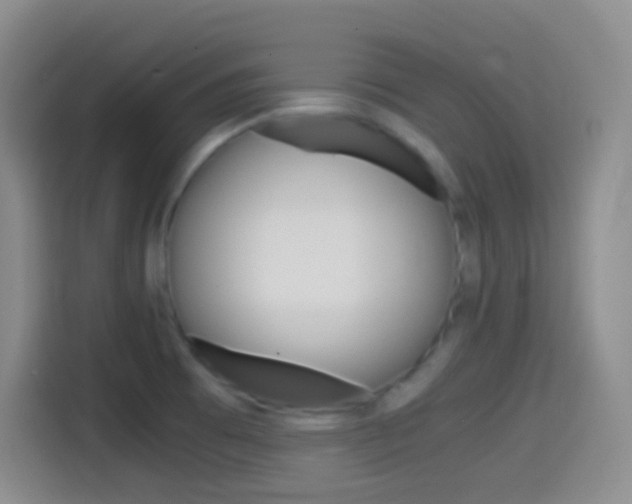 X0000114561473200910191001