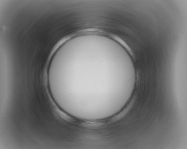 X0000114561474200910191001