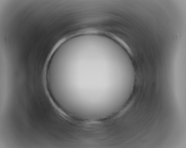 X0000114561475200910191001