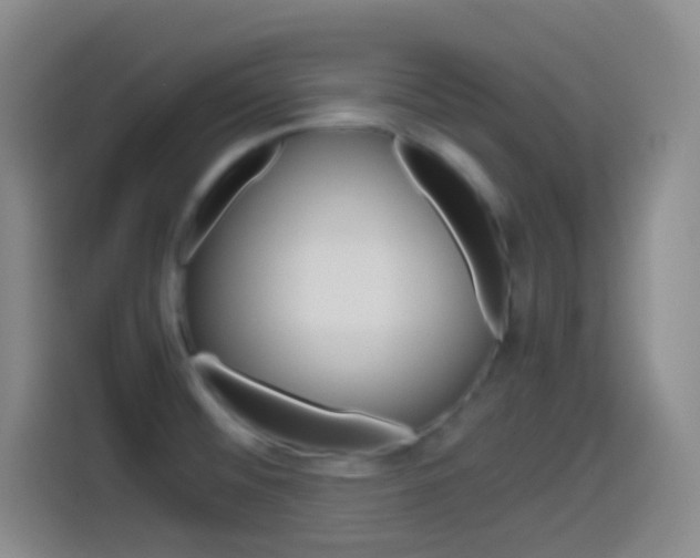 X0000114561476200910191001
