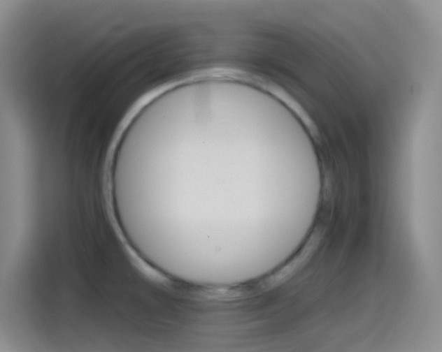 X0000114561478200910191001