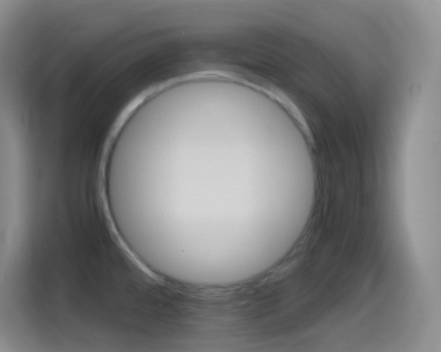 X0000114561480200910191001