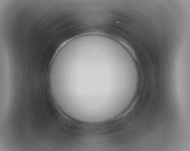 X0000114561481200910191001