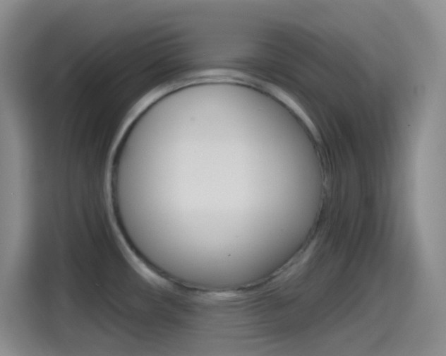 X0000114561482200910191001